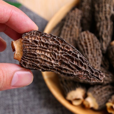 羊肚菌干货工厂批发云南特产剪柄食用菌菇煲汤年货食材可批发代发图5