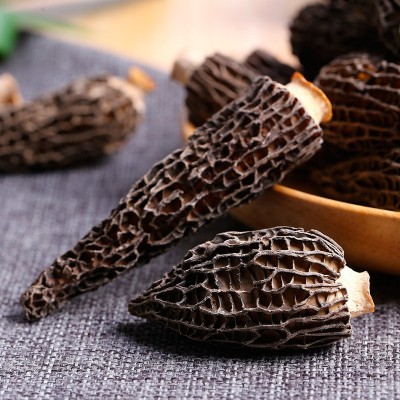羊肚菌干货工厂批发云南特产剪柄食用菌菇煲汤年货食材可批发代发图2