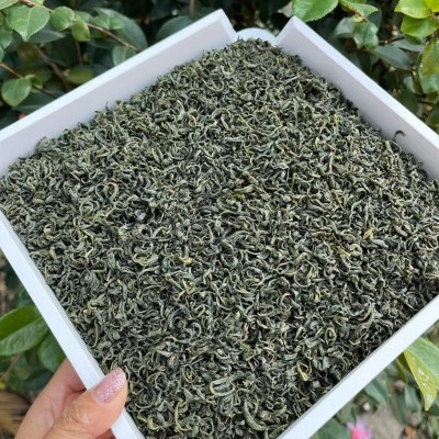 2024新茶高山云雾炒青绿茶 松阳香茶 浓香耐泡 炒青绿茶 厂家直销图4