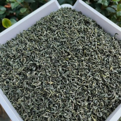 2024新茶高山云雾炒青绿茶 松阳香茶 浓香耐泡 炒青绿茶 厂家直销图2