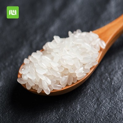 东北五常长粒香大米5kg一袋10斤真空新米5斤2斤厂家批发代发包邮图2