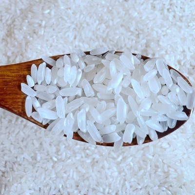 五常大米新米5kg10斤一袋真空东东北稻花长粒香大米厂家批发代发图4