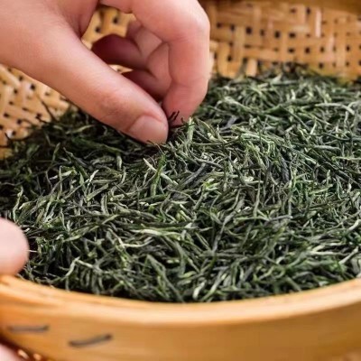 2024年新茶毛尖茶叶浓香栗香散装500g炒青绿茶茶叶厂家直销批发图3