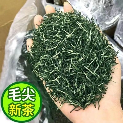2024年新茶毛尖茶叶浓香栗香散装500g炒青绿茶茶叶厂家直销批发图2