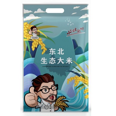 一斤装东北大米 一件代发500g真空五常大米 公司采购礼品大米图2