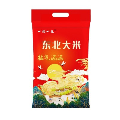 一斤装东北大米 一件代发500g真空五常大米 公司采购礼品大米图5