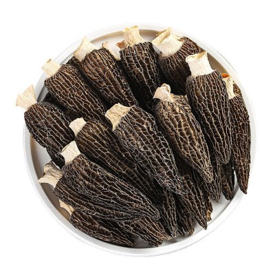 云南羊肚菌干货批发菌汤包羊肚菌5-8 煲汤火锅羊肚菌厂家批发代发图5