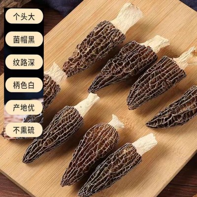 云南羊肚菌干货批发菌汤包羊肚菌5-8 煲汤火锅羊肚菌厂家批发代发图4