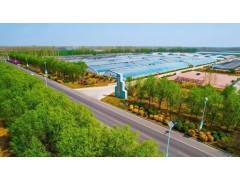 有力有效推动乡村全面振兴