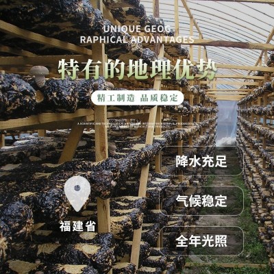 干香菇 源头厂家蘑菇干货 500g菌菇散货椴木香菇干香菇批发图3