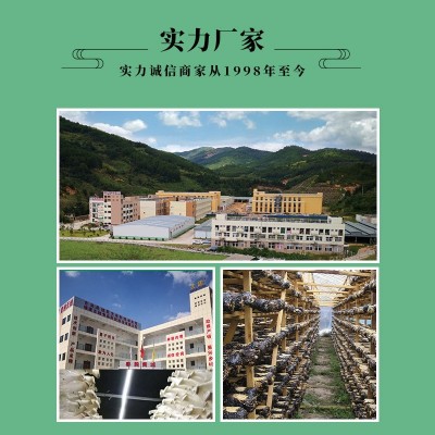 干香菇 源头厂家蘑菇干货 500g菌菇散货椴木香菇干香菇批发图4