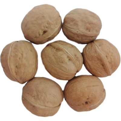 出口核桃源头厂家批发直销新疆185纸皮核桃2023年新货零食图4