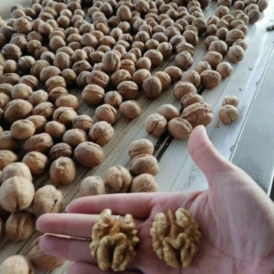 【出口源头厂家】批发新疆185纸皮核桃2023年新货工厂店图5