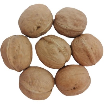 【出口源头厂家】批发新疆185纸皮核桃2023年新货工厂店图4