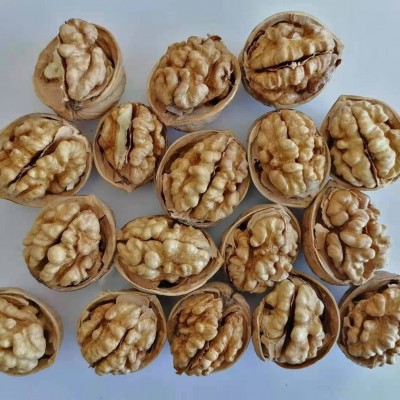 【出口源头厂家】批发新疆185纸皮核桃2023年新货工厂店图3