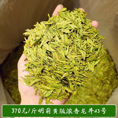 黄版龙井合集2024新茶群体种龙井43号品种浓豆香耐泡绿茶散茶批发图4