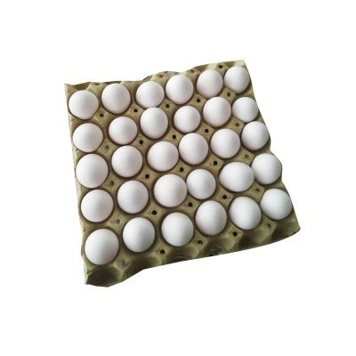 厂家批发新鲜白壳鸡蛋五谷粮食饲养鸡蛋整箱鲜鸡蛋批发山东养殖场图5