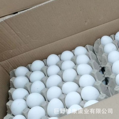 厂家批发新鲜白壳鸡蛋五谷粮食饲养鸡蛋整箱鲜鸡蛋批发山东养殖场图4