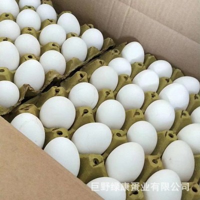 厂家批发新鲜白壳鸡蛋五谷粮食饲养鸡蛋整箱鲜鸡蛋批发山东养殖场图2