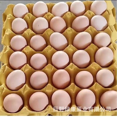 厂家直销红壳鸡蛋新鲜鸡蛋批发360枚整箱批发新鲜直达五谷饲养图4