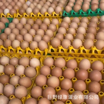 厂家直销红壳鸡蛋新鲜鸡蛋批发360枚整箱批发新鲜直达五谷饲养图2