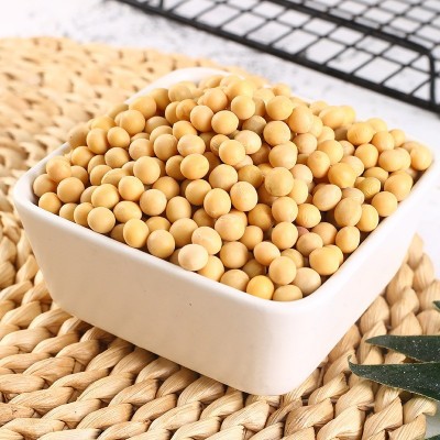 黄豆500g五谷杂粮豆浆东北粗粮原料营养农家大豆1斤批发图3
