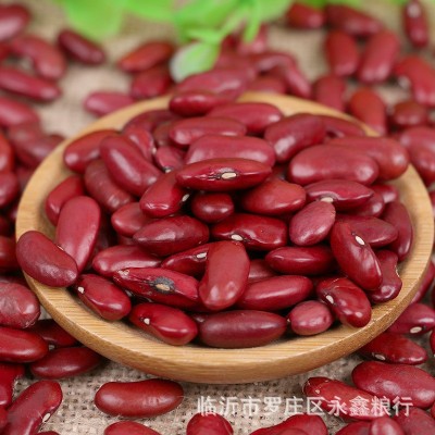 东北农家红芸豆袋装50斤红腰豆大红豆五谷杂粮熬粥食材红芸豆批发图5
