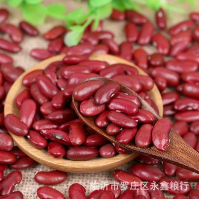 东北农家红芸豆袋装50斤红腰豆大红豆五谷杂粮熬粥食材红芸豆批发图4
