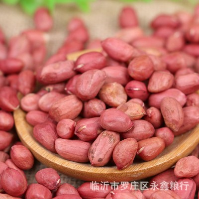 鲜货四粒红花生米 东北四粒红农家花生粒 红皮小粒花生果五谷杂粮图5