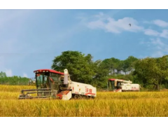 零陵：优化农业种植结构实现粮食增产