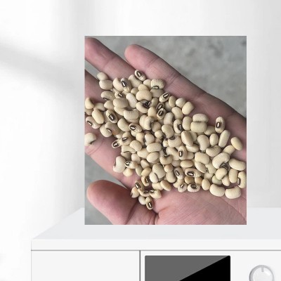 厂家供应 梅红豆颗粒饱满干净且没有杂质 质量有保障 现货图2