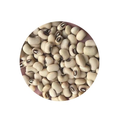 厂家供应 梅红豆颗粒饱满干净且没有杂质 质量有保障 现货图5