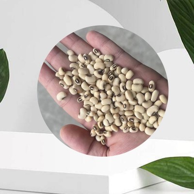 厂家供应 梅红豆颗粒饱满干净且没有杂质 质量有保障 现货图3