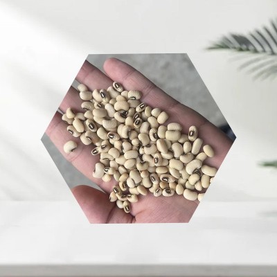 厂家供应 梅红豆颗粒饱满干净且没有杂质 质量有保障 现货图4