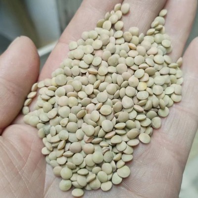 现货速发 美国绿扁豆用心挑选 农家杂粮 可批量发货 有保障图2