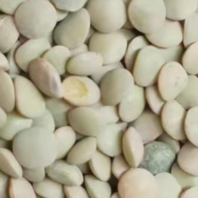 现货速发 美国绿扁豆用心挑选 农家杂粮 可批量发货 有保障图5