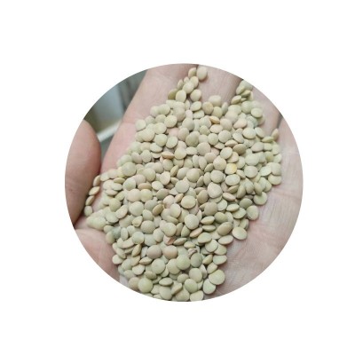 现货速发 美国绿扁豆用心挑选 农家杂粮 可批量发货 有保障图4