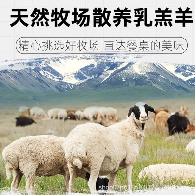 碱滩羊 草原散养羊肉带骨半只羊羔羊羊肉商用批发图4