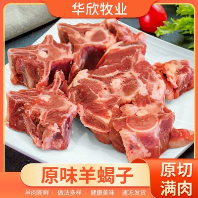 羊蝎子新鲜带肉羊骨头火锅材冷冻食10斤羊脊骨餐饮商用羊肉羊脊椎图2