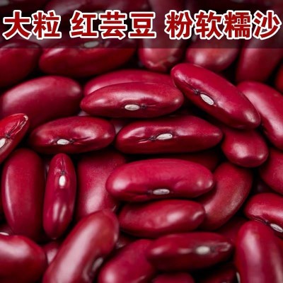 云南红腰豆25kg红腰豆厂家批发农家自种批发量大从优图3
