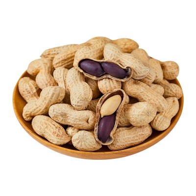 2024新货黑玉珍正宗山东黑花生 富硒带壳生农家种 产地批发可种植图5