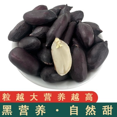 黑玉珍正宗山东黑花生500克大粒去壳24年新货生黑花生米 产地批发图2