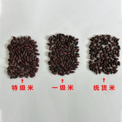 黑玉珍正宗山东黑花生500克大粒去壳24年新货生黑花生米 产地批发图4