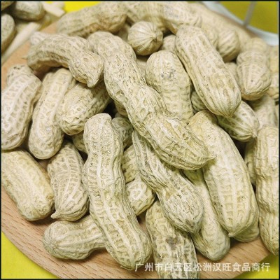 2024年新货上市生四粒红花生红衣花生1袋50斤图4