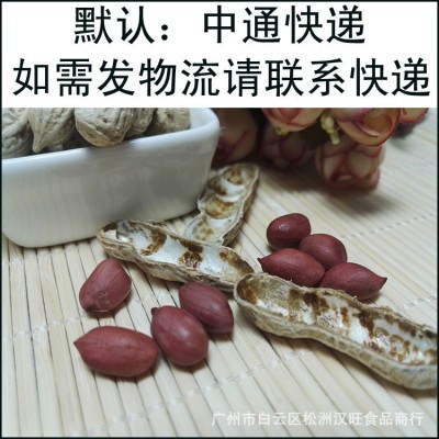 2024年新货上市生四粒红花生红衣花生1袋50斤图3