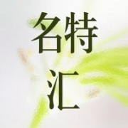 企业logo
