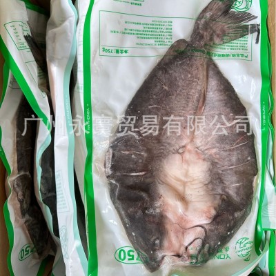 开背叉尾鮰鱼 开背清江鱼 碳烤清江鱼 750-950*18条 厂家直销图2