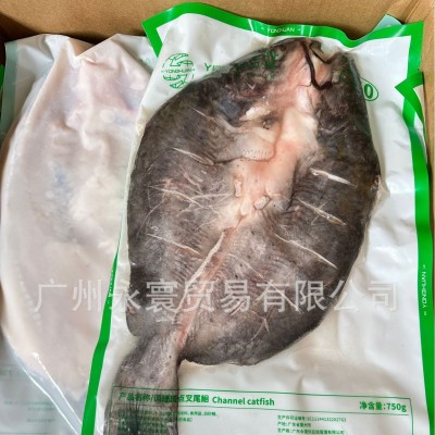 开背叉尾鮰鱼 开背清江鱼 碳烤清江鱼 750-950*18条 厂家直销图3