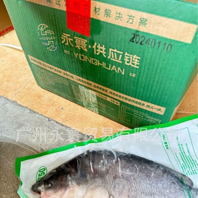 开背叉尾鮰鱼 开背清江鱼 碳烤清江鱼 750-950*18条 厂家直销图5