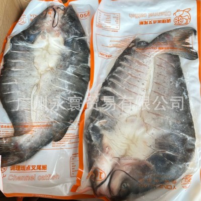 开背叉尾鮰鱼 清江鱼 碳烤清江鱼 1050-1250*14条 厂家直销图2